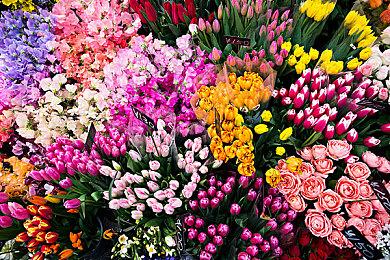 《喋血街头4》正式版被IGN评2分：幼稚游戏坑爹体验